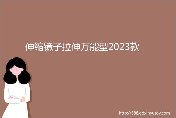 伸缩镜子拉伸万能型2023款