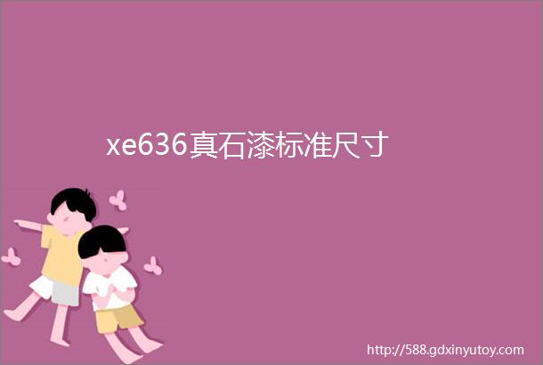 xe636真石漆标准尺寸