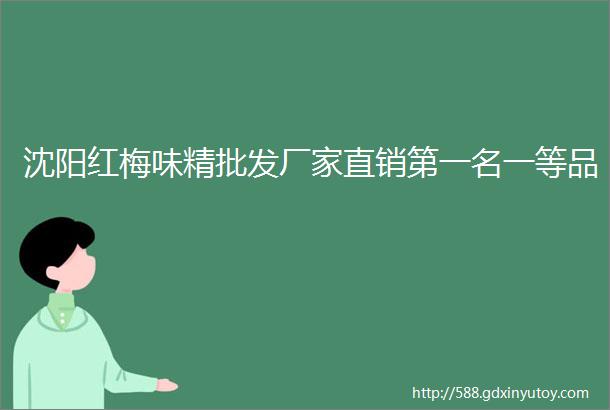 沈阳红梅味精批发厂家直销第一名一等品