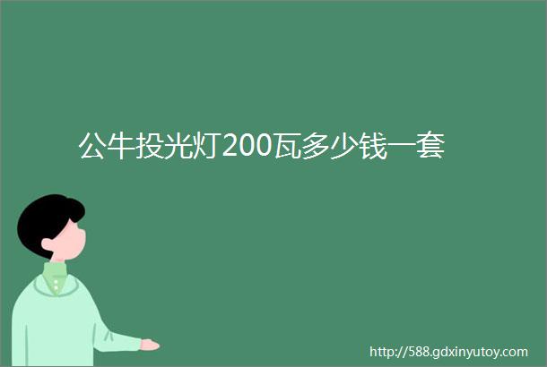 公牛投光灯200瓦多少钱一套