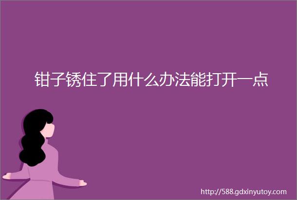 钳子锈住了用什么办法能打开一点