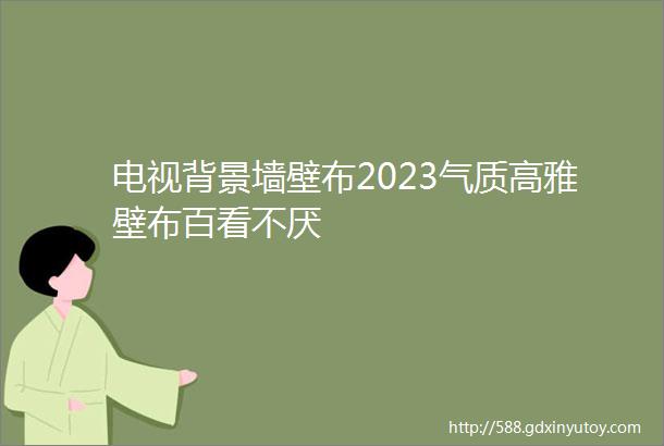 电视背景墙壁布2023气质高雅壁布百看不厌