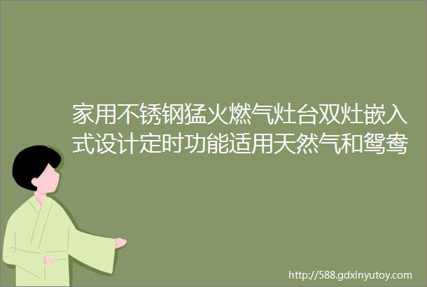 家用不锈钢猛火燃气灶台双灶嵌入式设计定时功能适用天然气和鸳鸯炉具