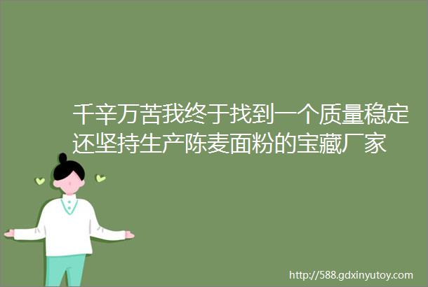 千辛万苦我终于找到一个质量稳定还坚持生产陈麦面粉的宝藏厂家