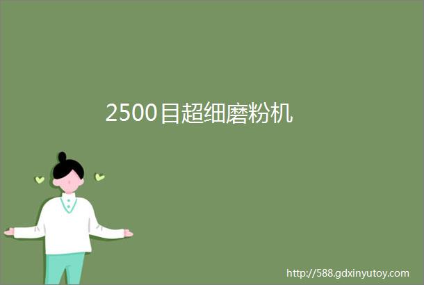 2500目超细磨粉机