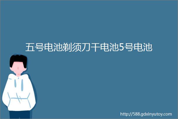 五号电池剃须刀干电池5号电池